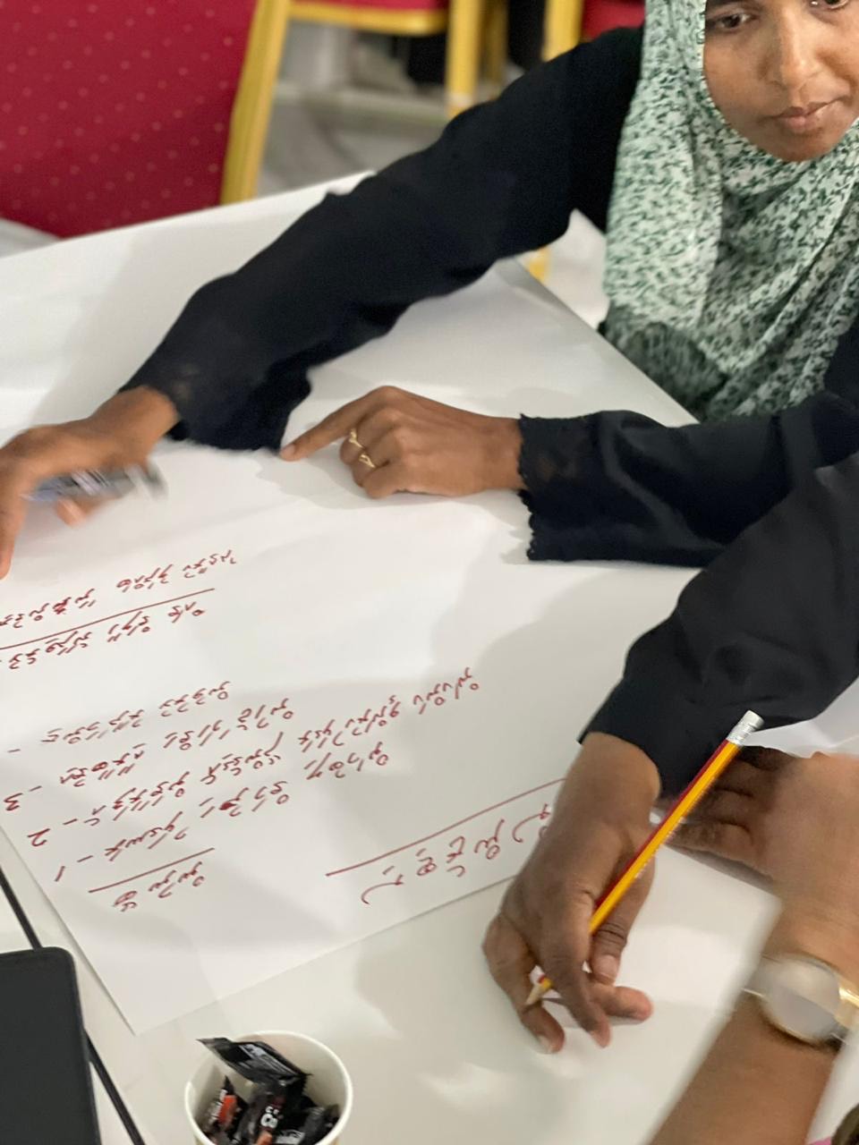 Addu social audit photo 2