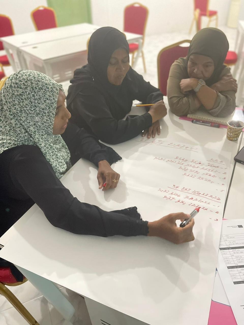 Addu social audit photo 3